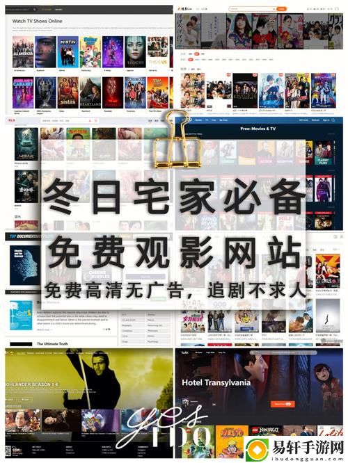 全面解析“免费网站在线观看人数更新时间”的影响与意义