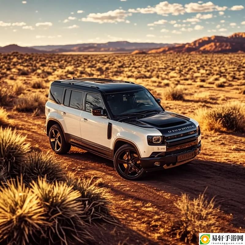 欧美无人区码SUV，粉丝表示：风格与性能的完美结合！