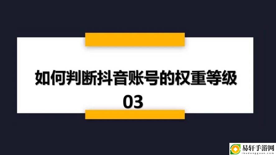 玩转短视频：探索91抖音免费版pro的无限可能