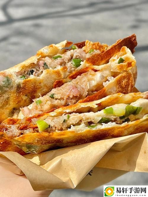  探访美味：萧氏四兄弟的美酥肉饼96的独特魅力