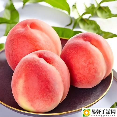 水蜜桃8844引发热议，网友：这果子为什么这么贵？