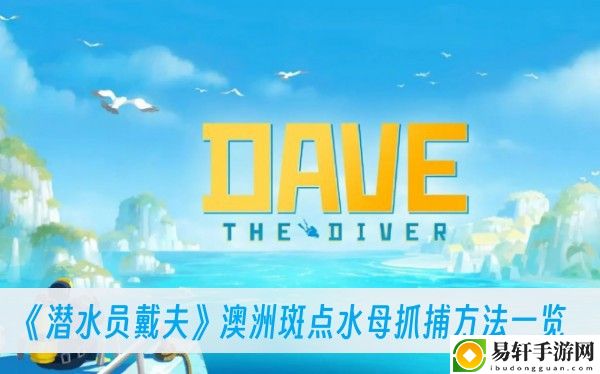 潜水员戴夫澳洲斑点水母抓捕方法一览