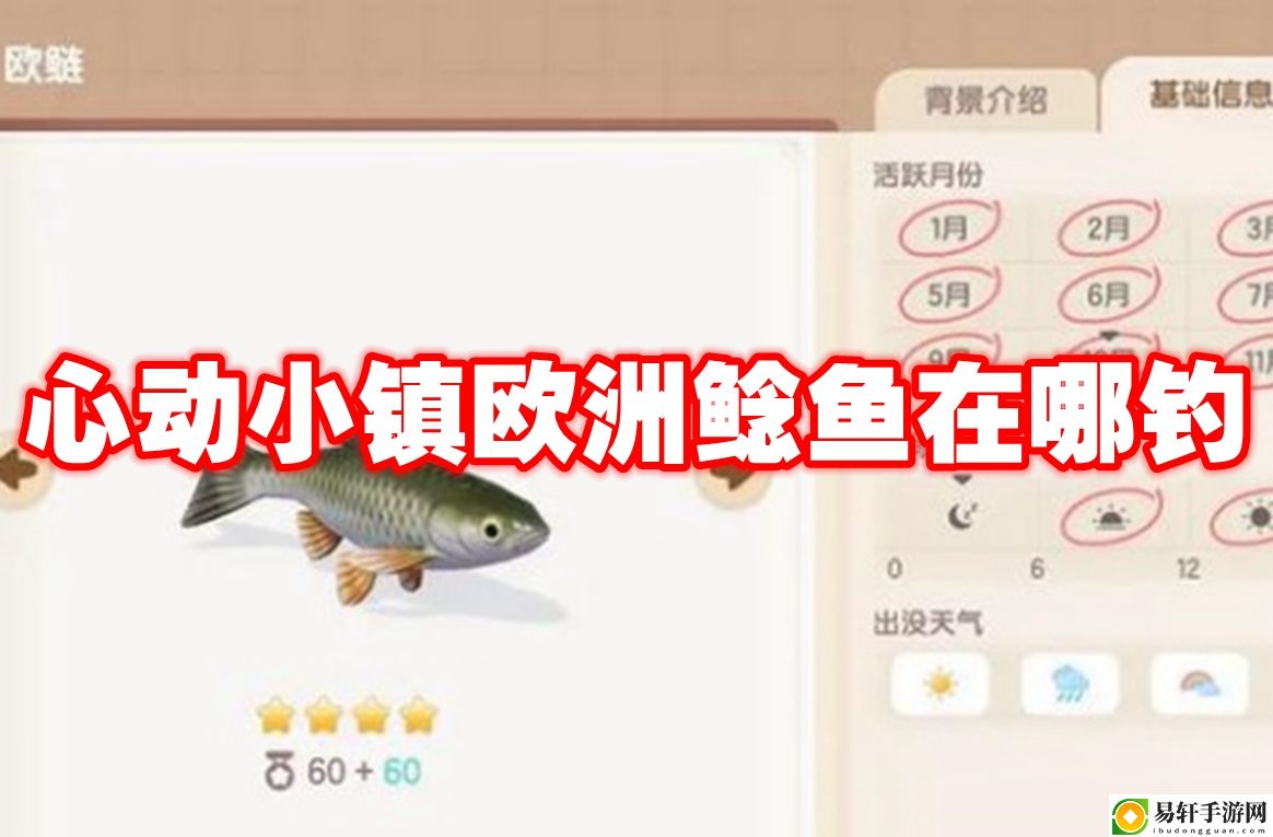 心动小镇欧洲鲶鱼在哪钓 宠物技能连携配合