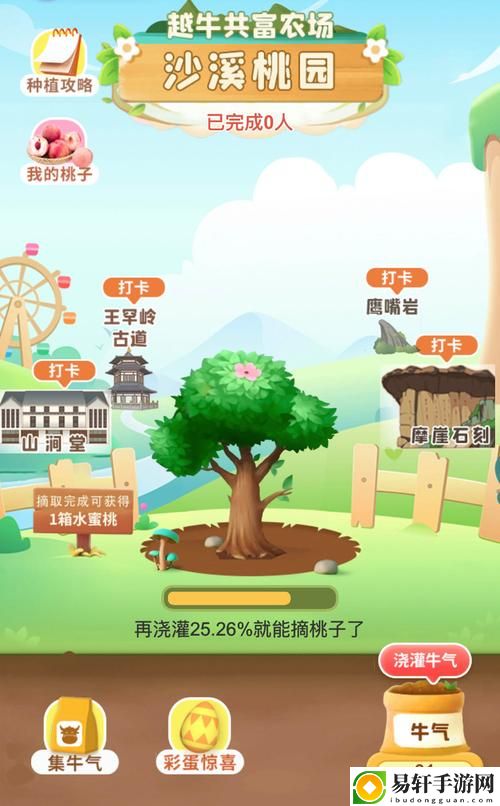 蜜芽国精产品一二三产区：探索优质农产品的文化与价值
