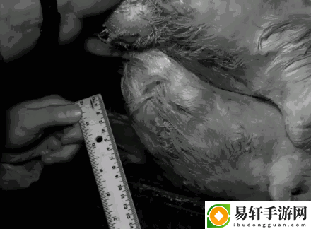 畅享生活中的幽默瞬间——啊轻点灬大巴太粗太长了动态图