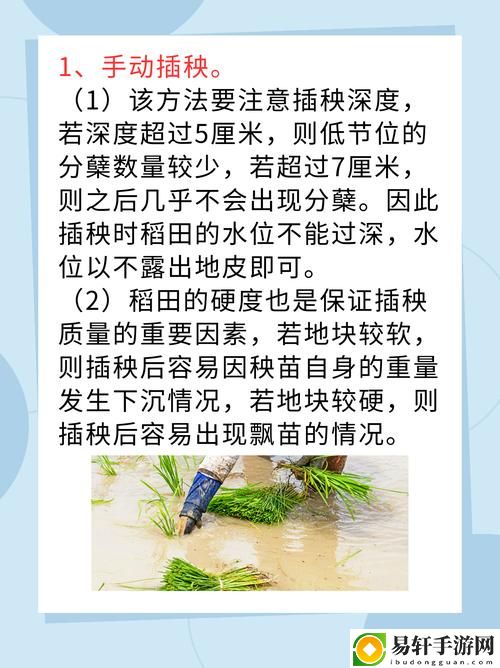 夫妻插秧38种攻略图片大全，读者：携手共筑乡村美好生活