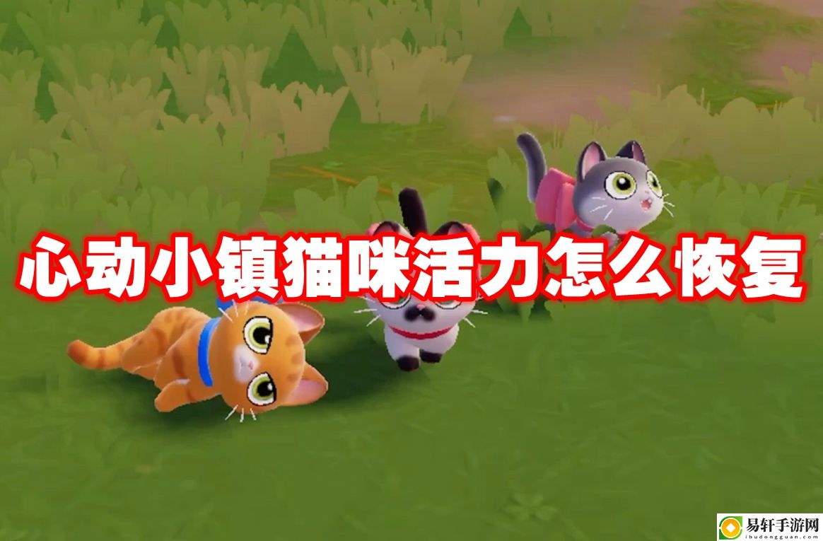 心动小镇猫咪活力怎么恢复 减少空窗期，持续输出