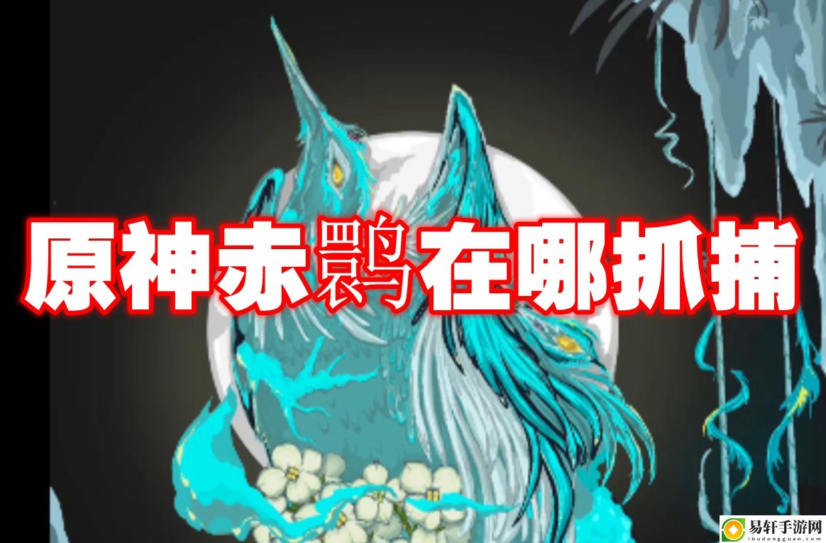 原神赤鹮在哪抓捕 通过日常任务提升经验获取效率