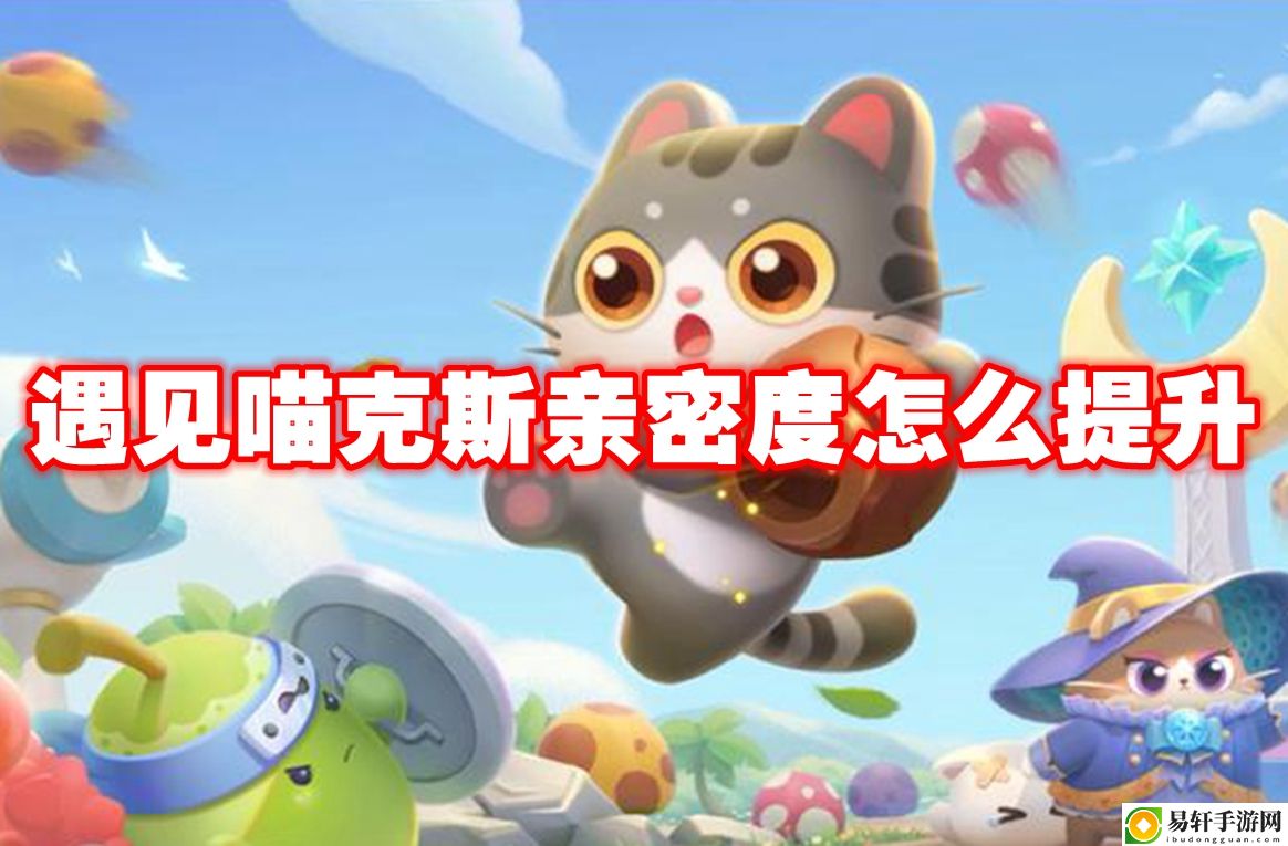 遇见喵克斯亲密度怎么提升 稀有物品获取途径