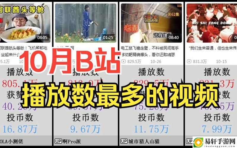  免费b站在线人数在哪儿找上线，网友表示：“终于有地方可以实时查看了！”