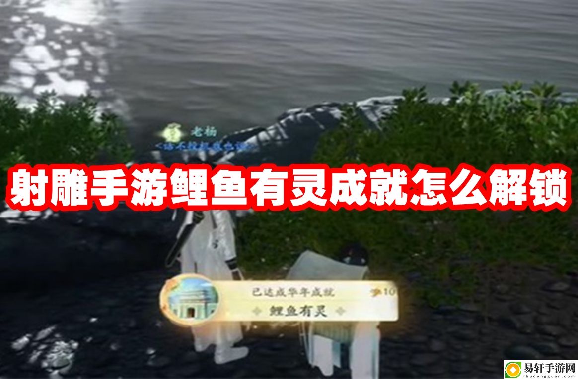 射雕手游鲤鱼有灵成就怎么解锁 装备镶嵌宝石策略