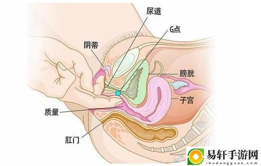 大荫蒂bbbbbb大荫蒂，用户：探索奇幻世界的无尽魅力