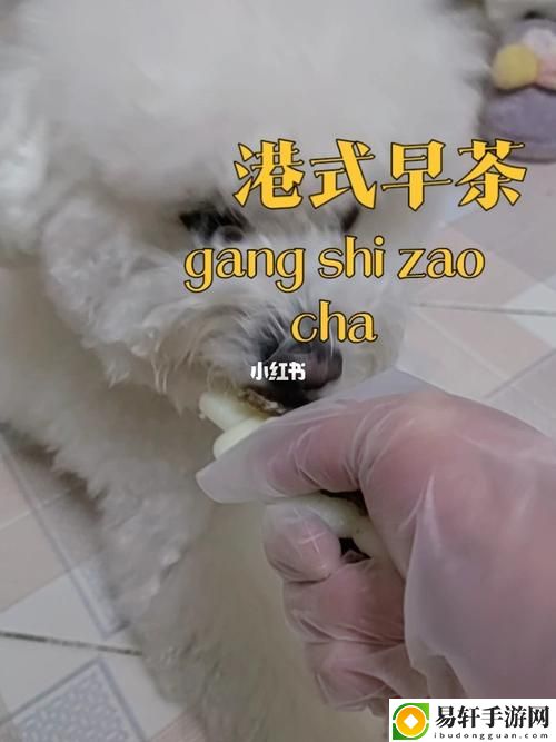 探索“美国人与动物胶配方大全”：传统与创新的交汇