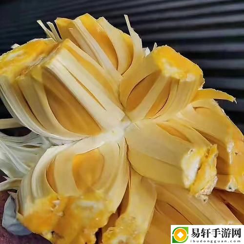  让人流连忘返的视觉盛宴：菠萝蜜麻豆免费看片
