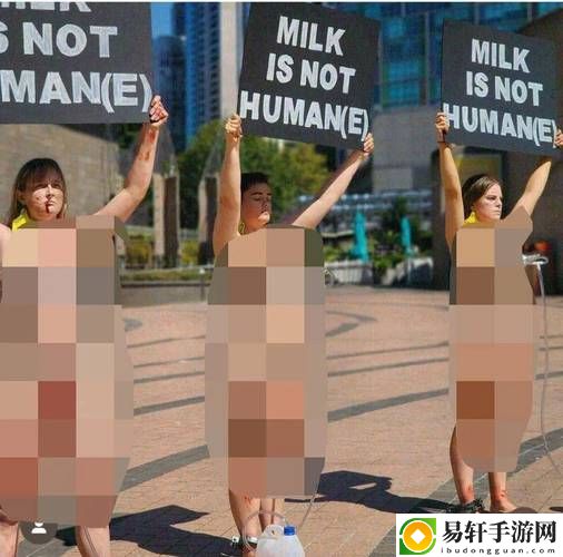 女人奶水milk的hd，网友评价：真实与感动的交汇