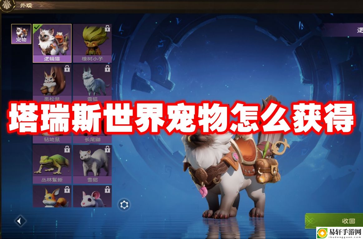 塔瑞斯世界宠物怎么获得 高分获取技巧总结
