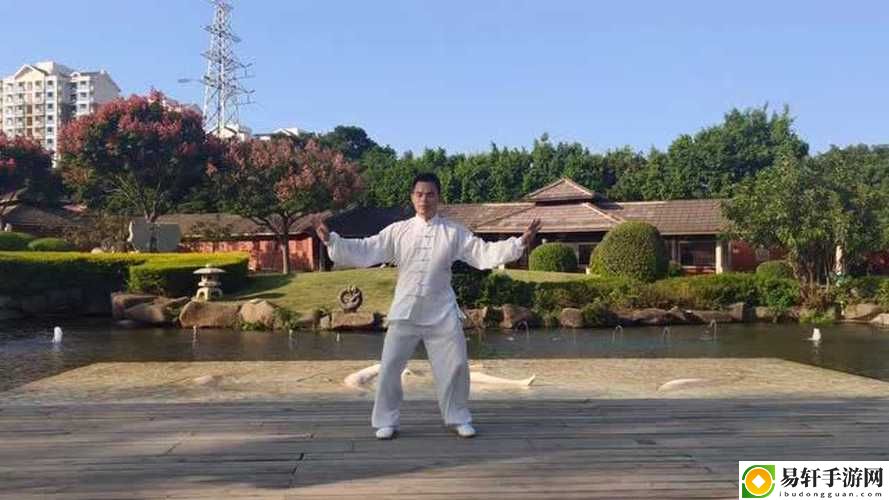  深度解析“三十六式实战演练视频”的技巧与应用