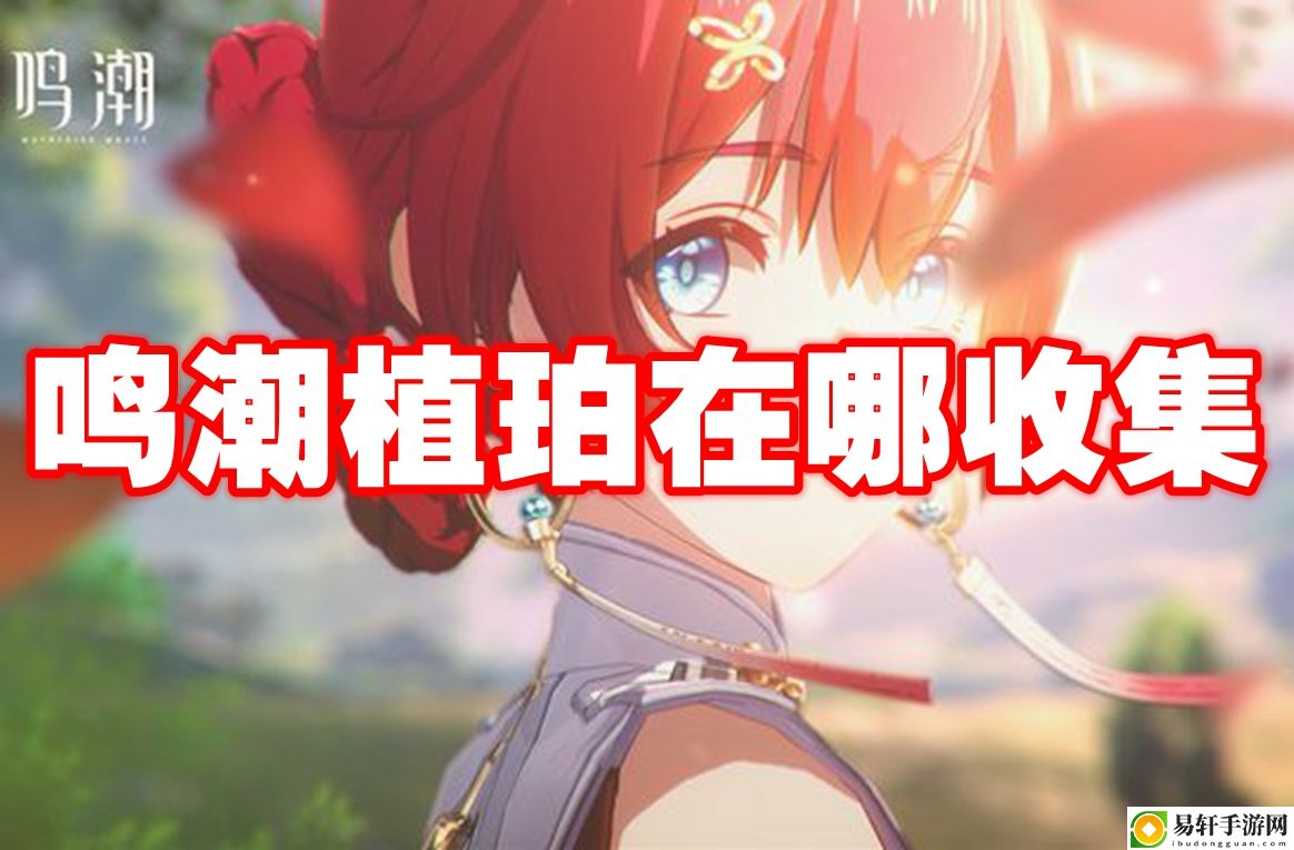 鸣潮植珀在哪收集 难点攻略最佳方法