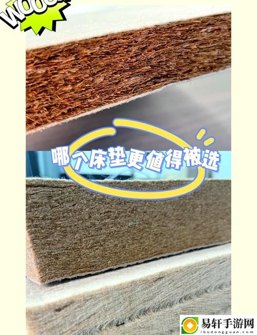  办公室可不可以干湿你的床垫——探讨床垫清洁的正确方式