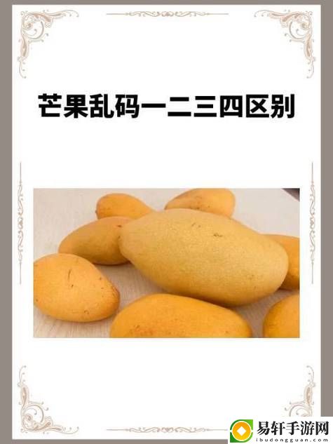  深入探讨亚 VA 芒果乱码一二三四区别的背后意义