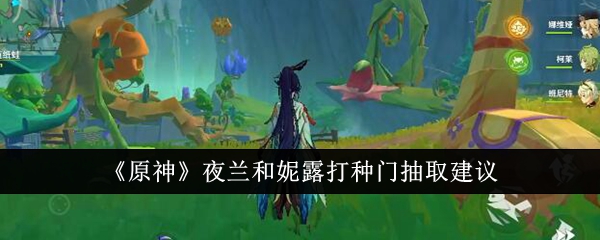 原神夜兰和妮露打种门抽取建议
