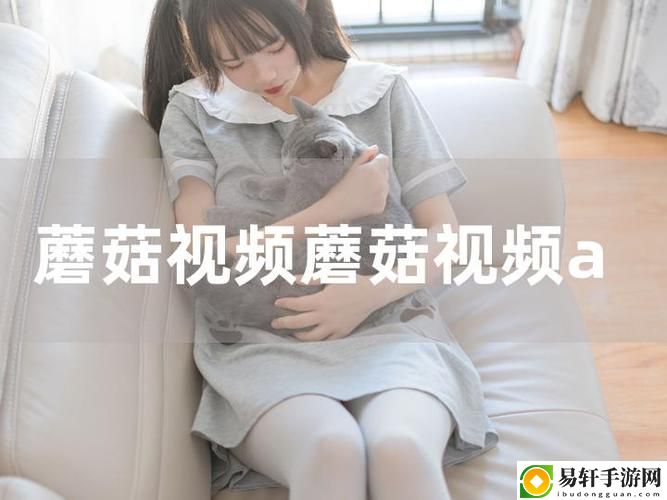 探索无限创意——蘑菇短视频app免费版本下载