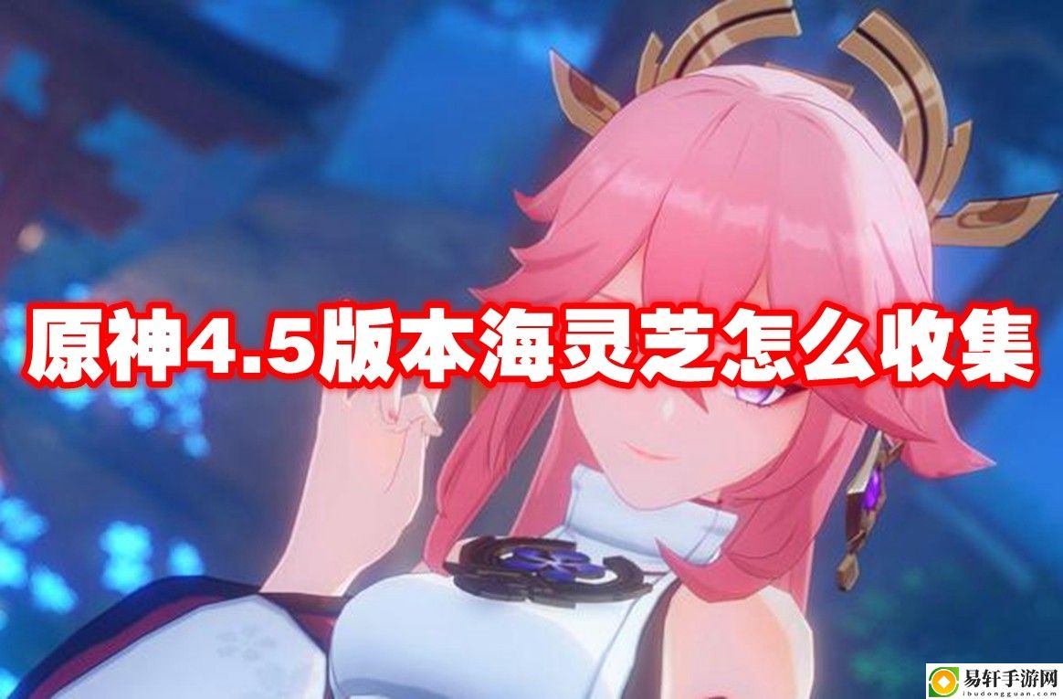 原神4.5版本海灵芝怎么收集 高效提升等级方法