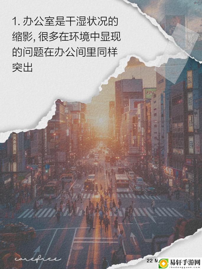  办公室能不能干湿你的衣服？探讨办公环境中的潮湿问题