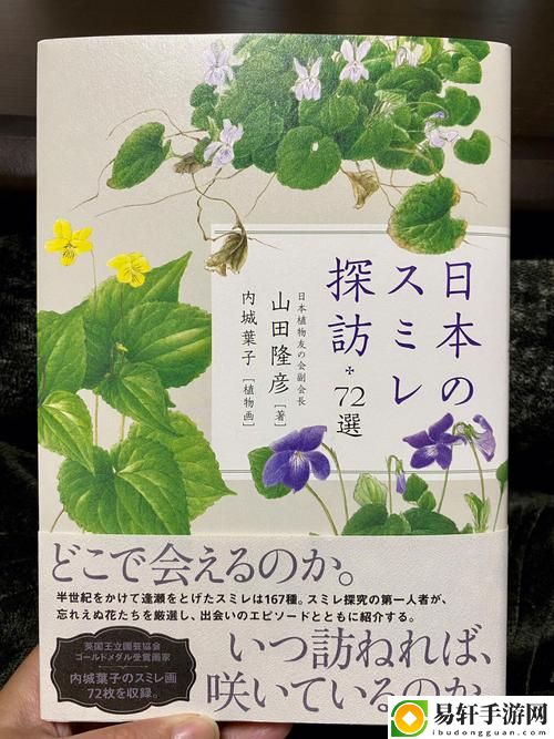  探索“野花高清中文免费日本精品版”的魅力与价值