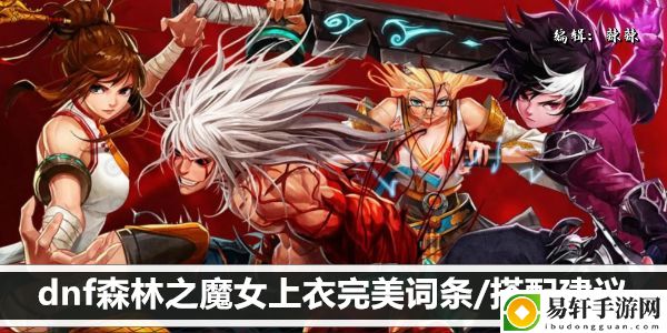 dnf森林之魔女上衣完美词条/搭配建议：攻略助你获胜