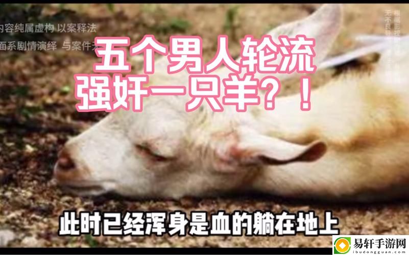 5个男人躁我一个过程，网友直言：这剧情太魔幻了！