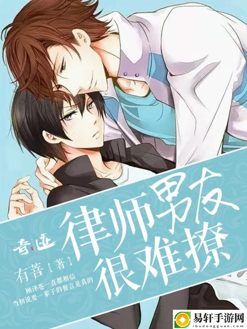  理性与感性的碰撞——探讨“律师男友很难撩1v1阅读”的恋爱难题