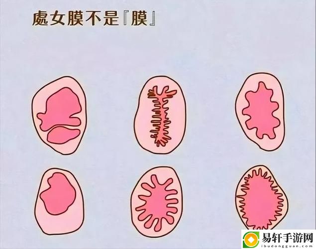  探索情感深度：处破女处破全过第一次的故事