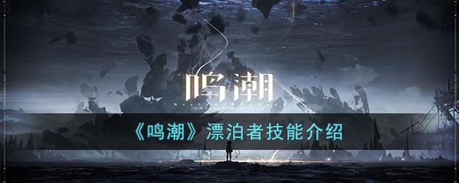 鸣潮漂泊者技能介绍