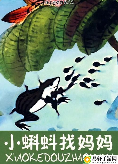 蝌蚪影视，网友分享：关于这个平台的体验和看法