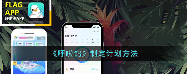呼啦鸽制定计划方法