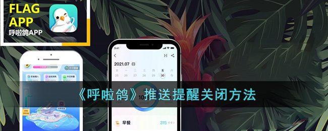 呼啦鸽推送提醒关闭方法