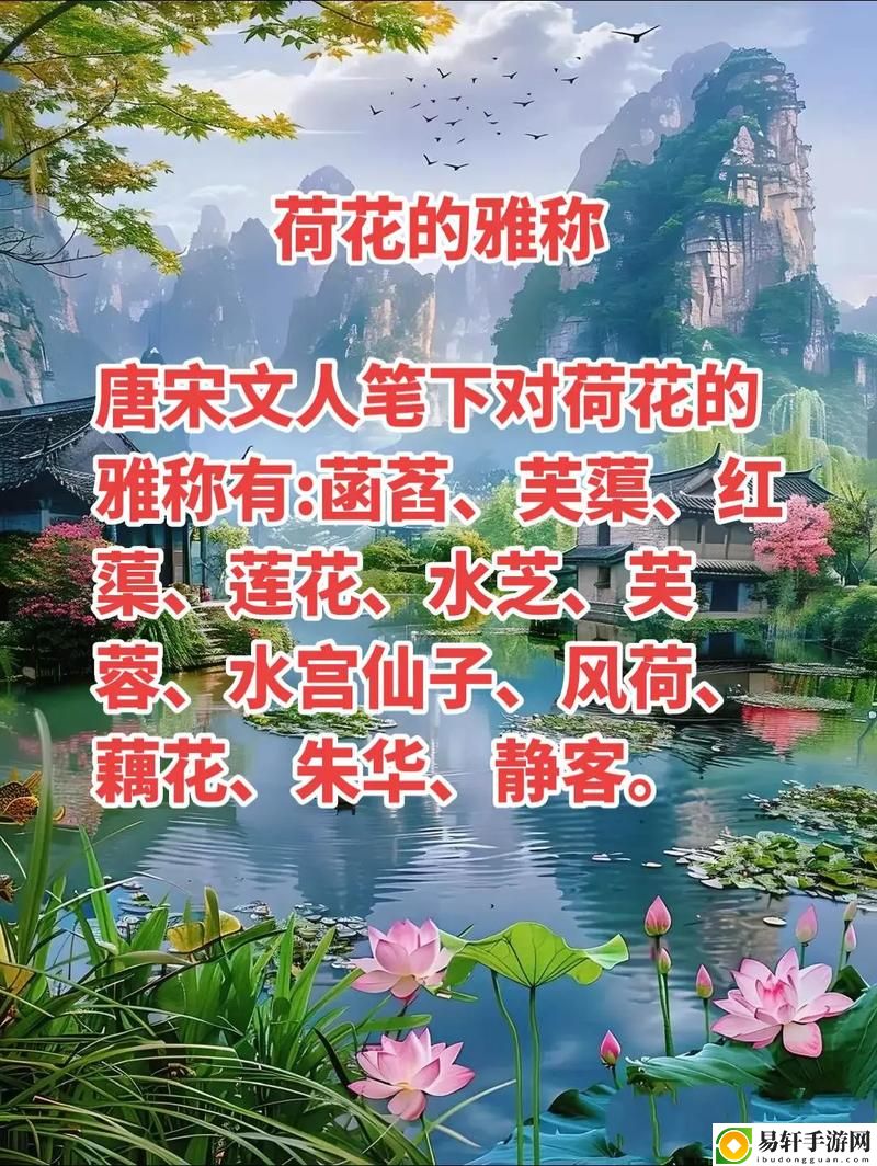  在庭院深深处，探寻“含苞待宠花婉柔镇国公”的芳华