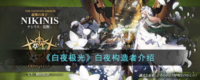 白夜极光白夜构造者介绍