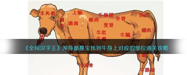 全民汉字王浑身都是宝找到牛身上对应的部位通关攻略