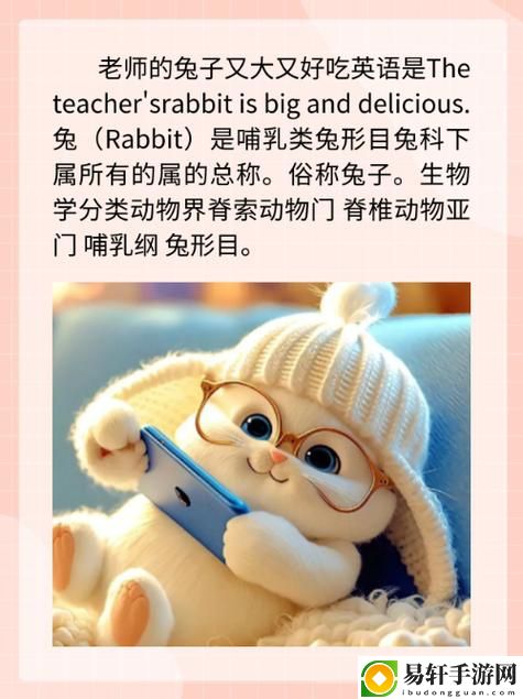  英语老师的兔子又大又软，带来无限温馨