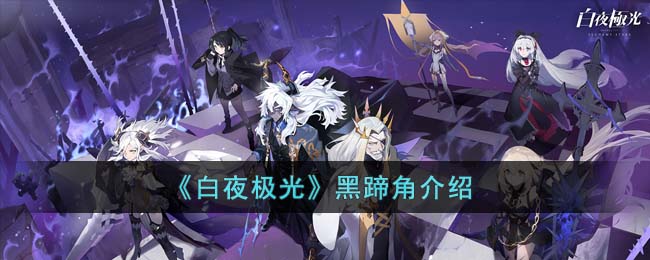白夜极光黑蹄角介绍