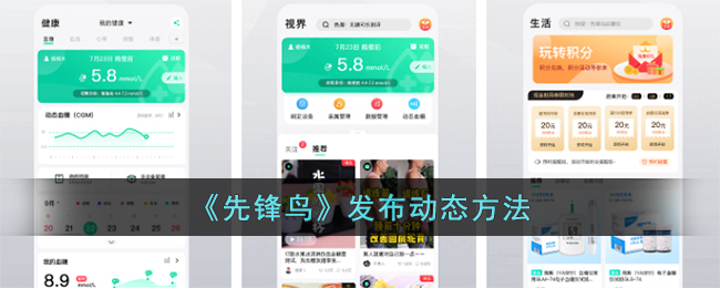 先锋鸟发布动态方法