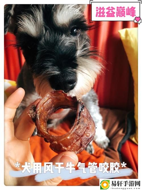 探究美国人与动物胶配方大全图片的文化与应用