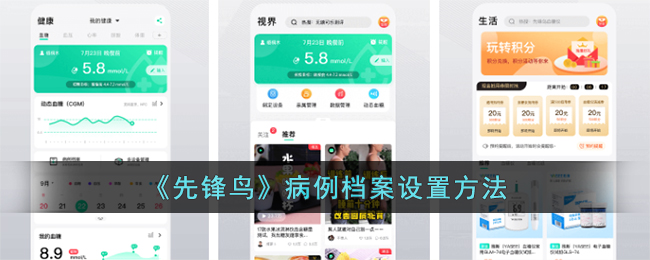 先锋鸟病例档案设置方法