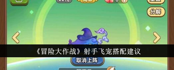 冒险大作战射手飞宠搭配建议