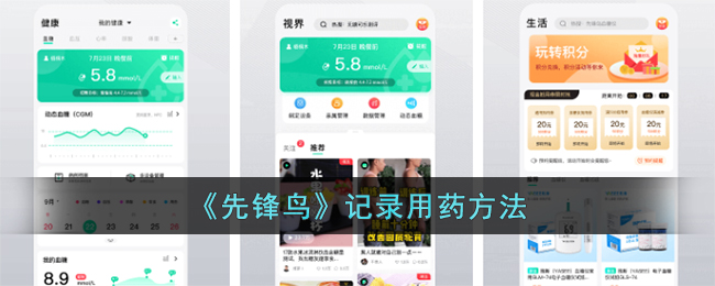 先锋鸟记录用药方法