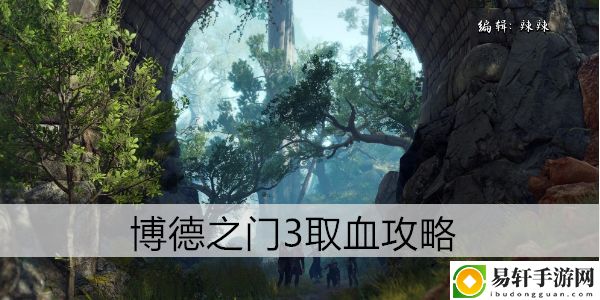 博德之门3取血攻略：隐藏任务触发与完成方法解析