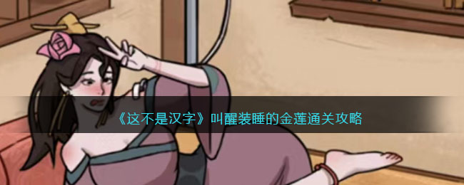 这不是汉字叫醒装睡的金莲通关攻略