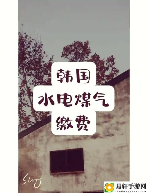  探秘好看的韩国三色电费：背后的文化与艺术交融